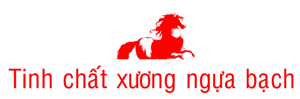Bạch mã vạn xuân